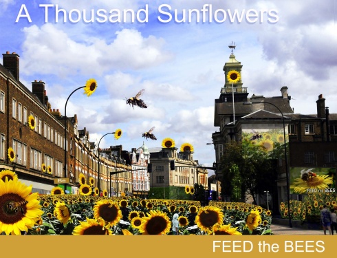 New Cross Sunflowers viewing